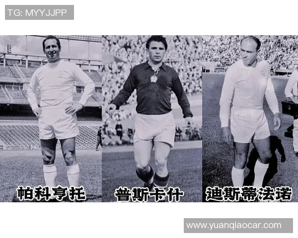 足球没有小球星唯有努力与团队精神才能成就真正的绿茵传奇